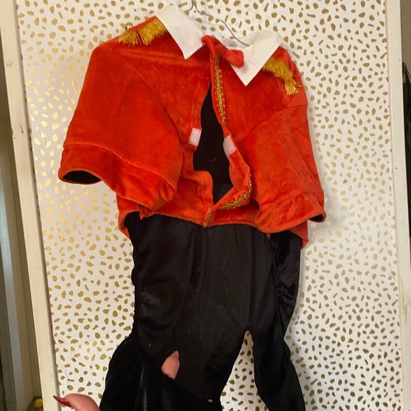 Dog costume Red Gold Jacket Prince - Picture 4 of 6